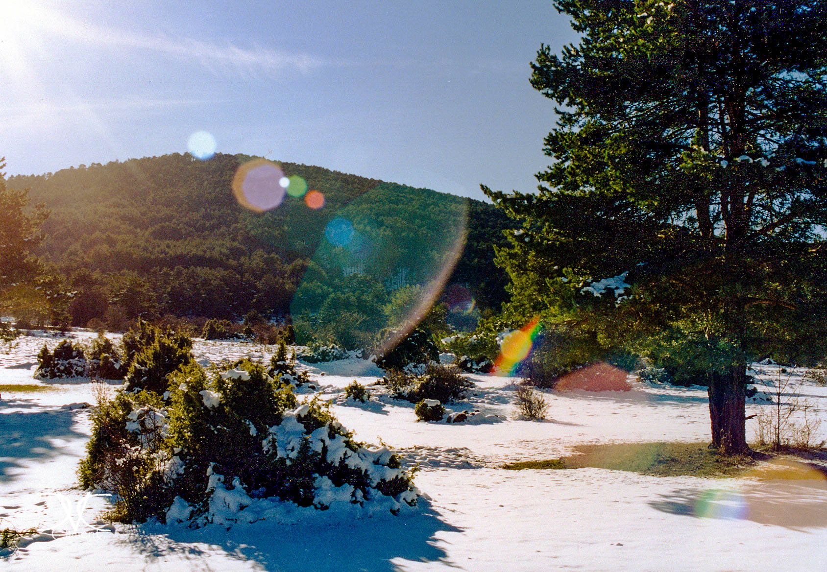 1999-12-31-Una mañana nevada en Teruel