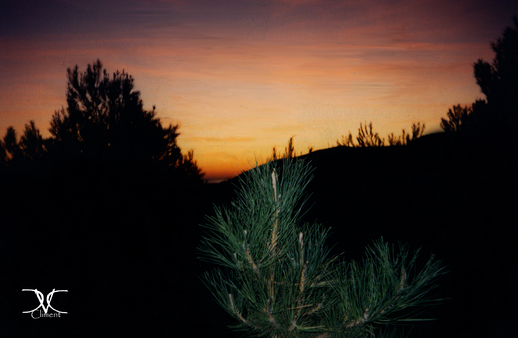 Amanecer en 1992: Fotografía Analógica