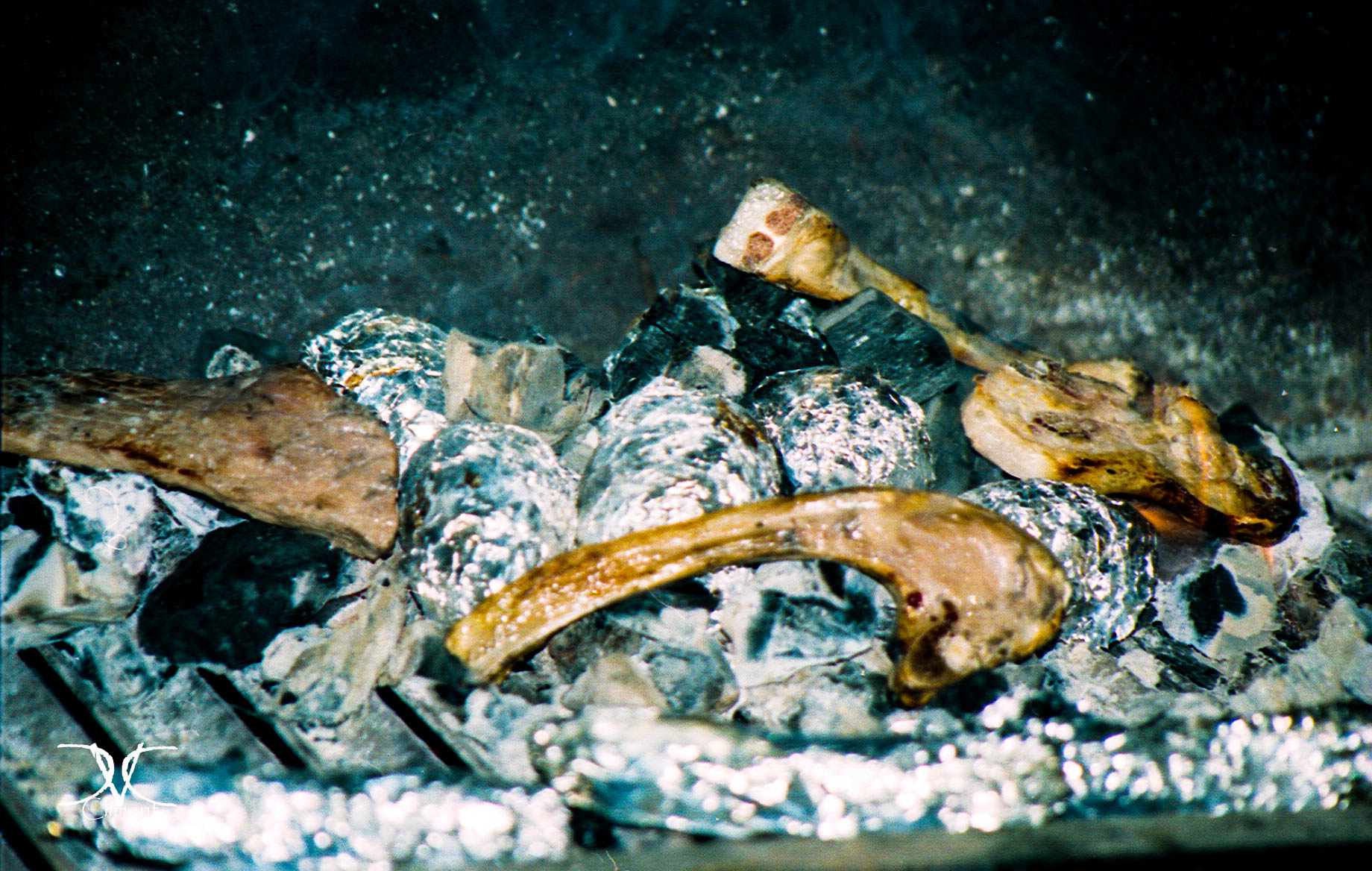 Viaje al Verano de 1996: Una Barbacoa Inolvidable