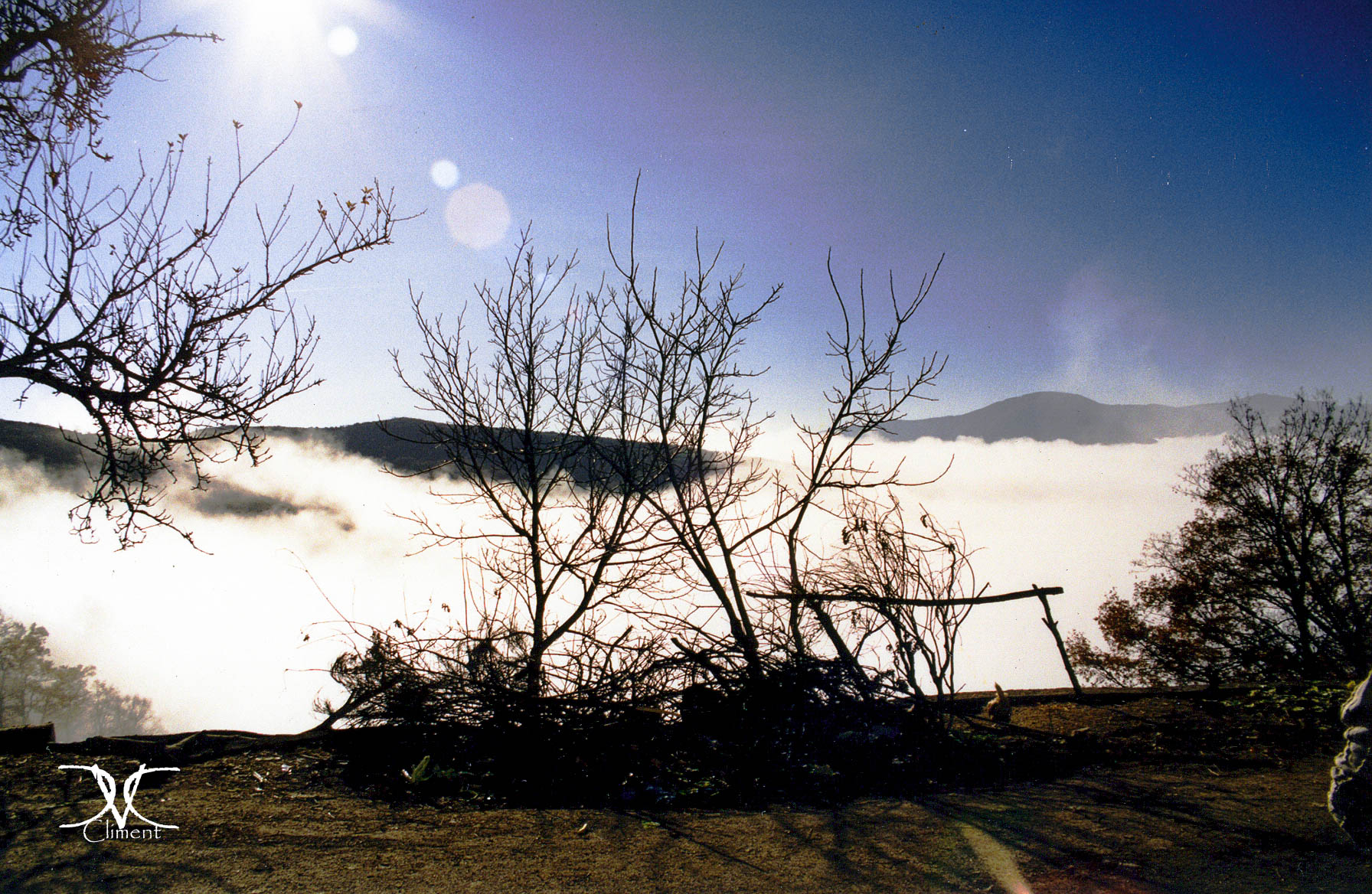 La Belleza de la Naturaleza: Historias Visuales desde Pumarín