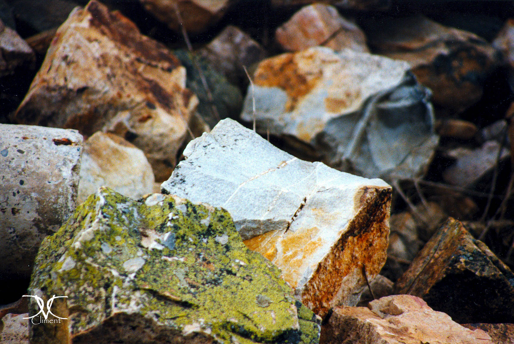 Texturas de Piedras: La Historia Natural detrás de cada Roca