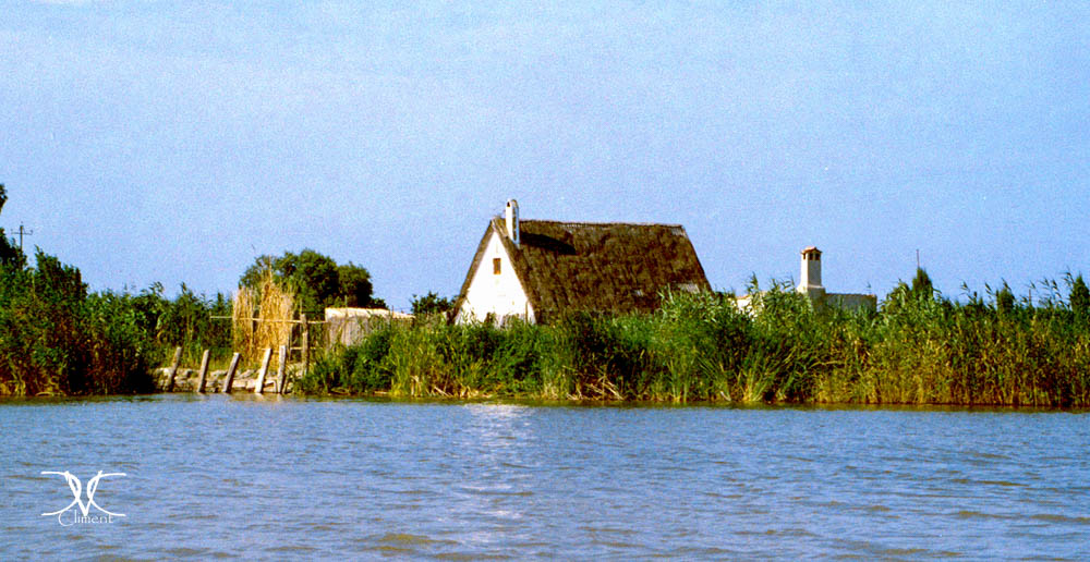 2004-05-29-Oceanogràfico y Albufera