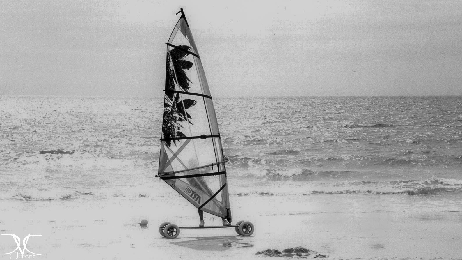 Moguer 1999 | Entre Marismas y Brisa Marina 🌊📜